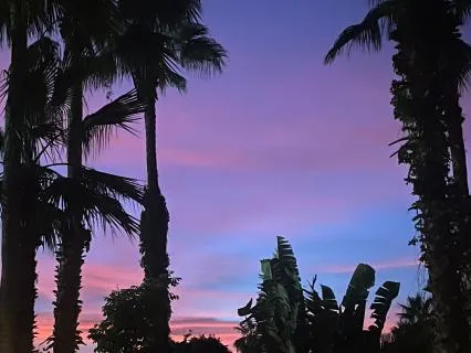 Wrapped In Rest-An 8 Hour Sleep Meditation