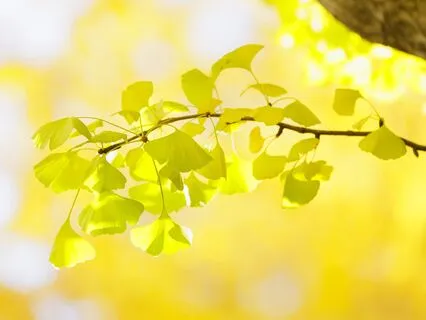 Wrapped In Source-Light: Feeling Safe, Connected & Loved