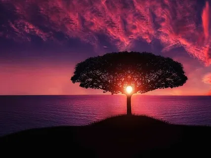 Writing Therapy For Clarity & Calm