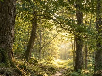 Writing Your Own Story: Hope And Self-Trust