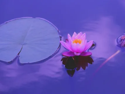 Współczucie dla siebie i spokojny umysł