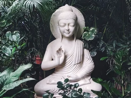   Wuji Standing meditation