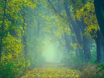 Xi Breathing With A Divine Message