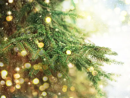 Christmas Tree Super Fast Upliftment