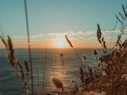 Year End: Reflect On Gratitude & Self (Silent)