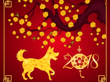 Year of The Dog: Embrace The Energy