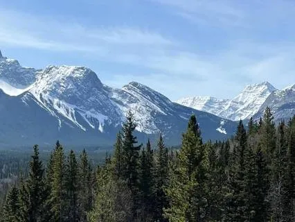 Year Of The Fire Horse Energy Boost