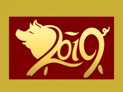 Year Of The Pig - Ignite The Energies