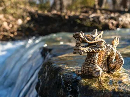 Year Of The Wood Dragon & Year Of Action