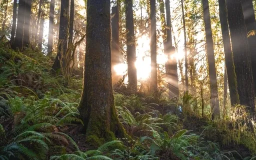 'Yes' - The Vehicle Of Openness!