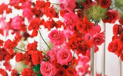 Yes To The Love Of Your Essence