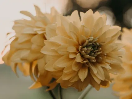 Yetersizlik Hissi ile Başa Çıkma Meditasyonu