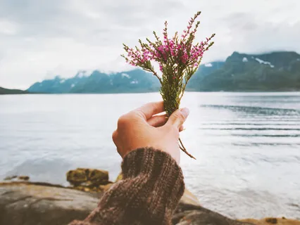 Yield Into Life - The Impact Of Unkindness