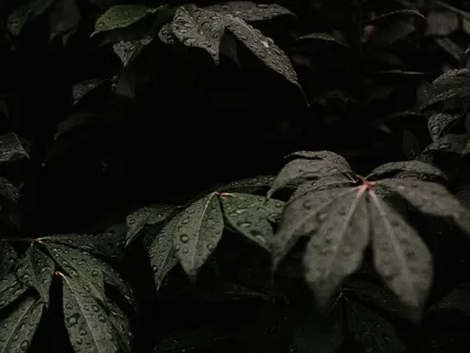 Yielding: Meeting Yourself Where You Are