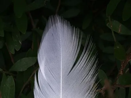 Yin Poetry | An Ethereal Journey