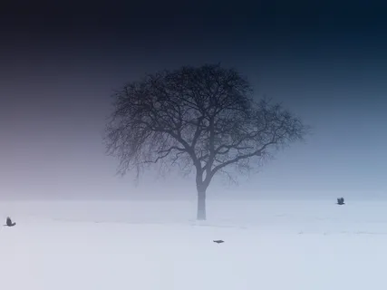 Yin Release: Open Heart (Live Class)