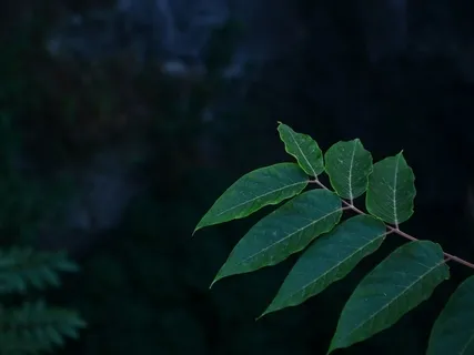 Yin Yoga: A Quiet, Mindful Practice