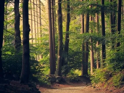 Yin Yoga For Deep Presence