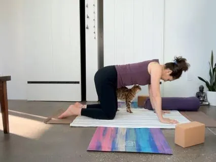 Yin Yoga for Pelvic Mobility & Back Ease
