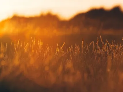 Yin Yoga Release Live Class: Unshakable Trust