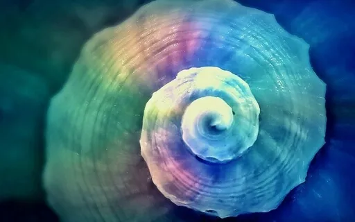 Yin Yoga: Spine & Savasana Rebounds