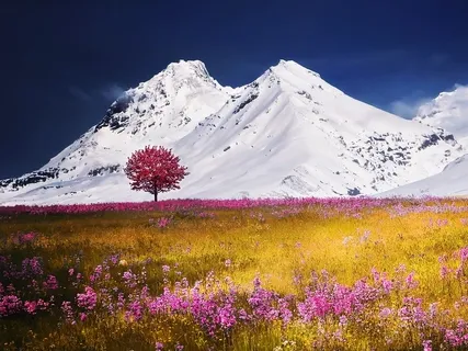 Yin Yoga To Awaken A Peaceful Inner Attitude