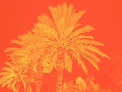 Yoga For Procrastination | From Avoidance To Action