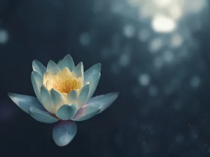 Yoga Meditation - Contacting Your Timeless Presence