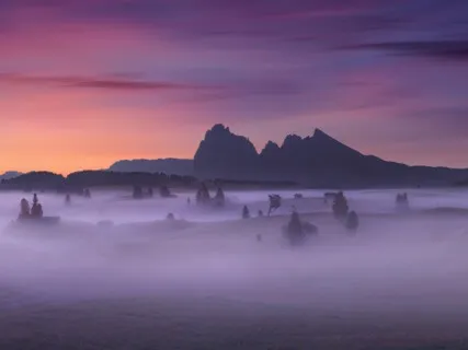 Yoga Meditation Flowing Through Life