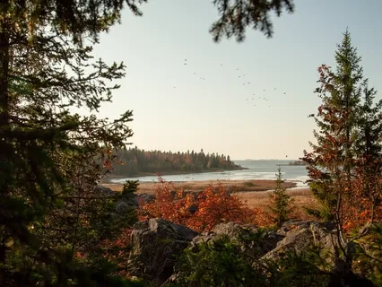 Yoga Meditation To Reduce Anxiety With Meditative Relaxation Technique
