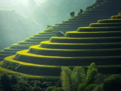 Yoga Nidra - Imagery