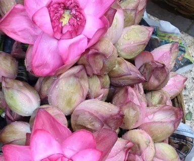 Yoga Nidra 1 - Body Awareness