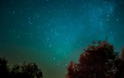 Yoga Nidra 10 Minutes Relax Sleep With Music | Golden Feather