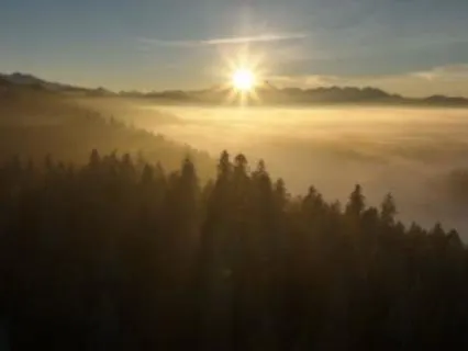 Yoga Nidra | 10 Minutes To Start Your Day | Voice Only