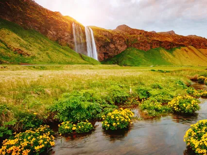 Yoga Nidra For Rejuvenating Mind, Body & Soul