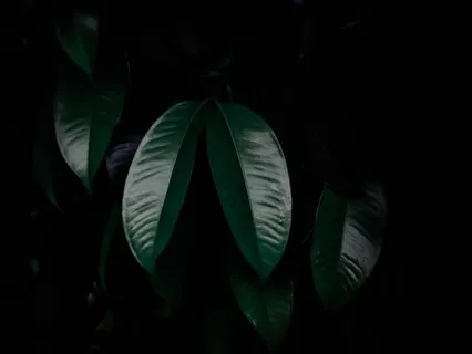 Yoga Nidra Body Scan To Sleep 2