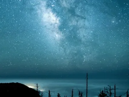 Yoga Nidra 2 : Body Scan & Breath