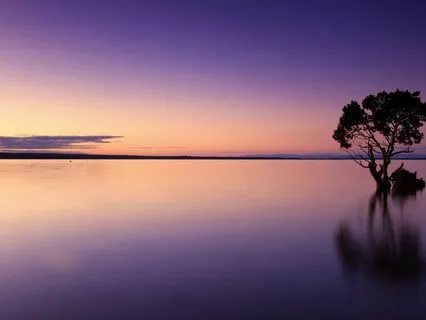 Yoga Nidra 25-Minute Practice For A Restful State Of Mind