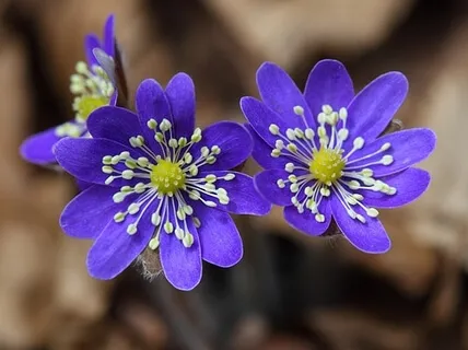 Yoga Nidra For Self Love