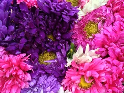 Yoga Nidra 3 - Hot & Cold 