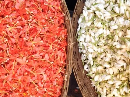 Yoga Nidra 4- Pleasure & Pain