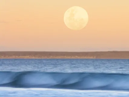 Yoga Nidra Practice For Being Present