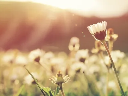 Yoga Nidra For Peace Of Mind