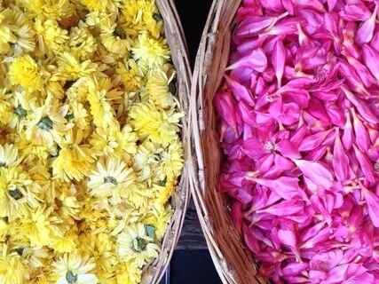 Yoga Nidra 5- Going Back 