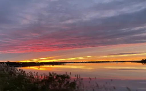 Yoga Nidra 50 Minutes