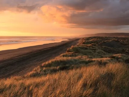 Yoga Nidra & Gratitude