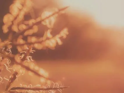 Yoga Nidra Body Scan For Deep Rest & Sleep