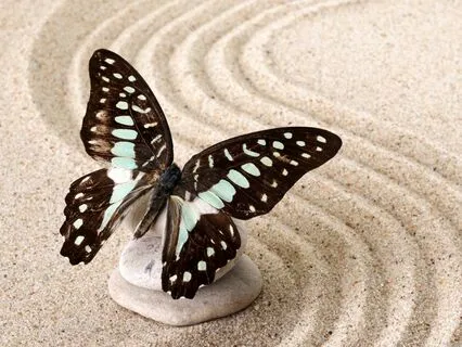 Yoga Nidra 61 Points For Relaxation And Vitality