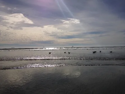 Yoga Nidra 61 Points (no music) 