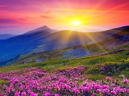 Yoga Nidra For Managing Stress